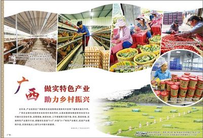 廣西 做實特色產業，激發農產品生產活力，助推鄉村振興