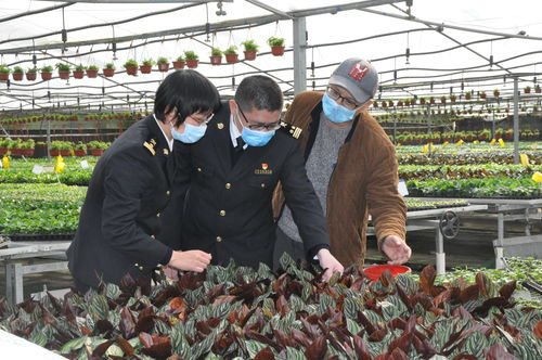廣州農產品原材料進出口雙順暢，為農業生產注入新活力